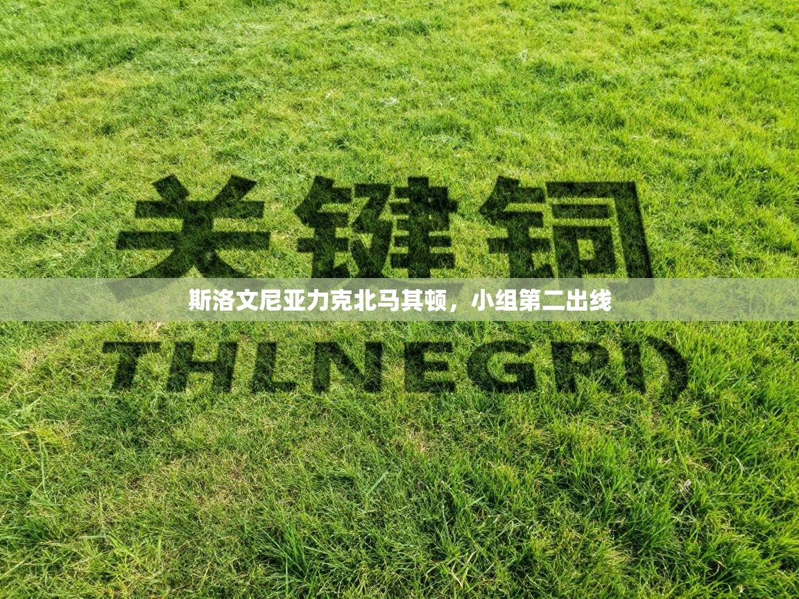 斯洛文尼亚力克北马其顿，小组第二出线  第2张