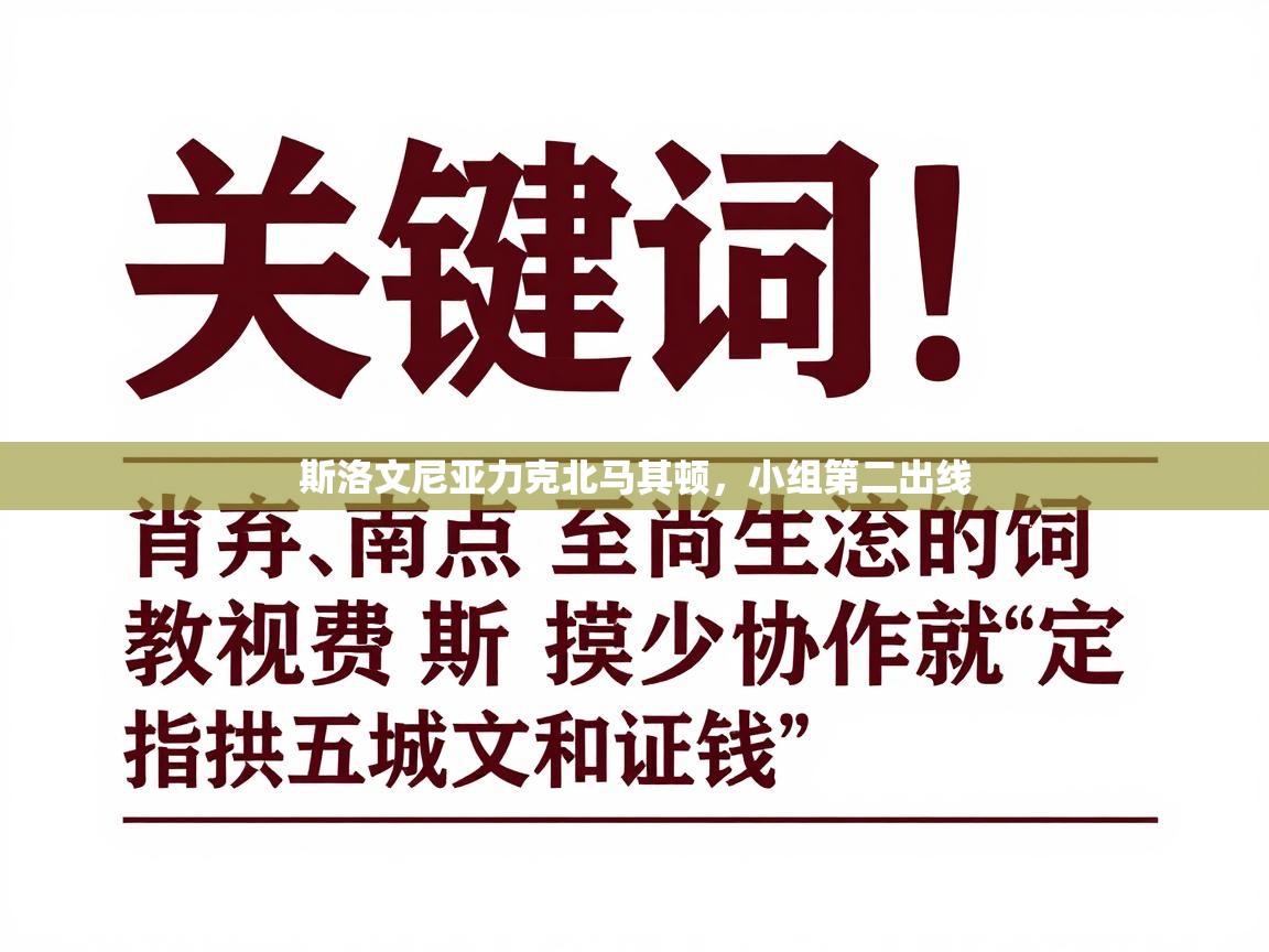 斯洛文尼亚力克北马其顿，小组第二出线  第1张