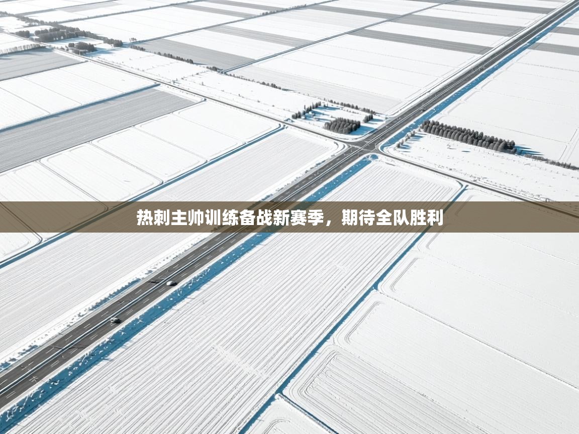 热刺主帅训练备战新赛季，期待全队胜利  第1张