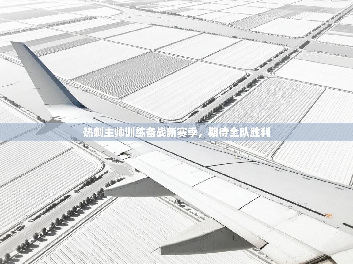 热刺主帅训练备战新赛季，期待全队胜利  第2张