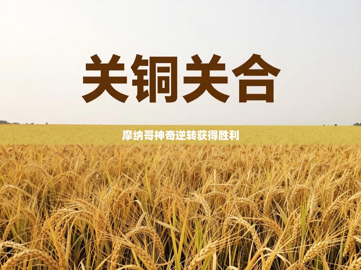 摩纳哥神奇逆转获得胜利