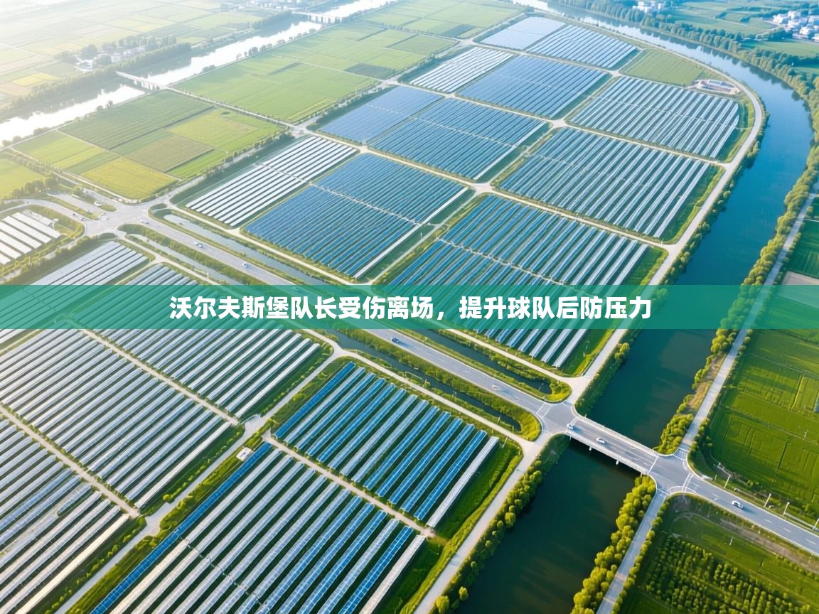 沃尔夫斯堡队长受伤离场，提升球队后防压力  第2张